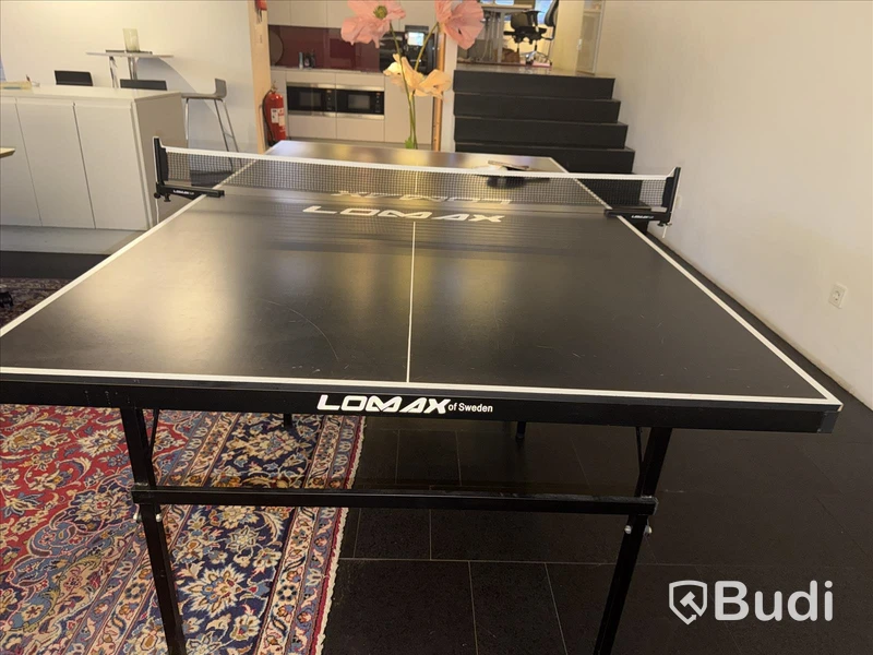 Pingisbord Lomax
