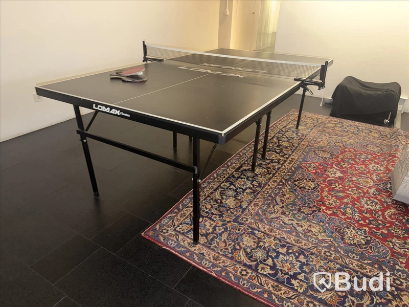 Pingisbord Lomax