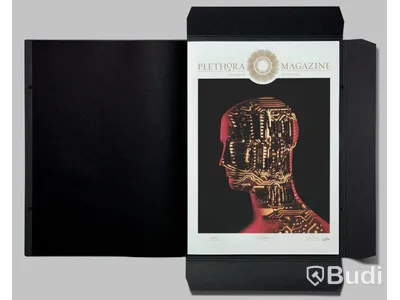 PLETHORA Magazine, Issue No. 7 - mapp med flera bilder