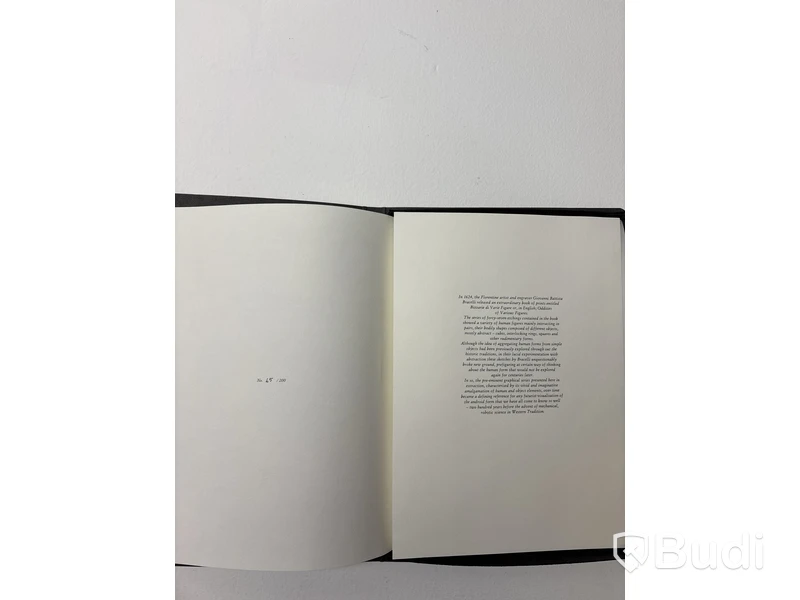 PLETHORA Magazine, BIZZARIE DE VARIE FIGURE - mapp med flera bilder