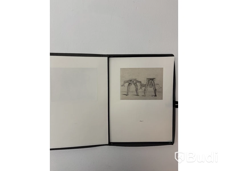 PLETHORA Magazine, BIZZARIE DE VARIE FIGURE - mapp med flera bilder