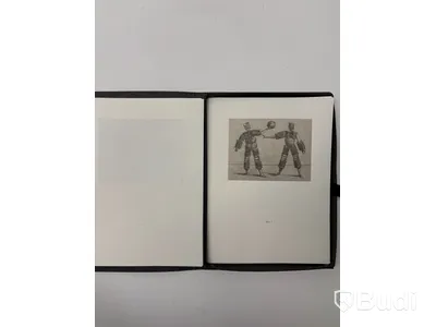 PLETHORA Magazine, BIZZARIE DE VARIE FIGURE - mapp med flera bilder