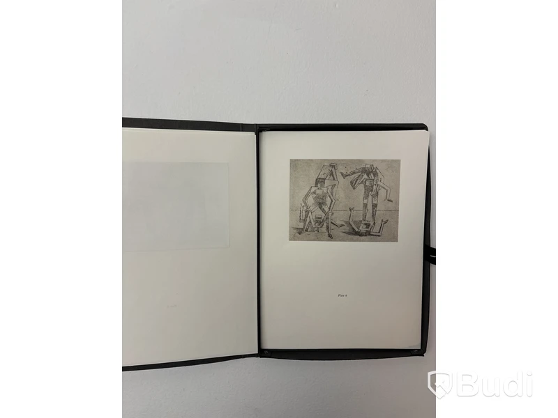 PLETHORA Magazine, BIZZARIE DE VARIE FIGURE - mapp med flera bilder