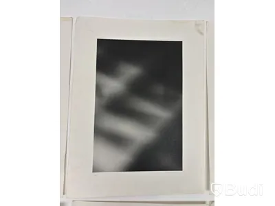 Bilder LiffnerLingsell