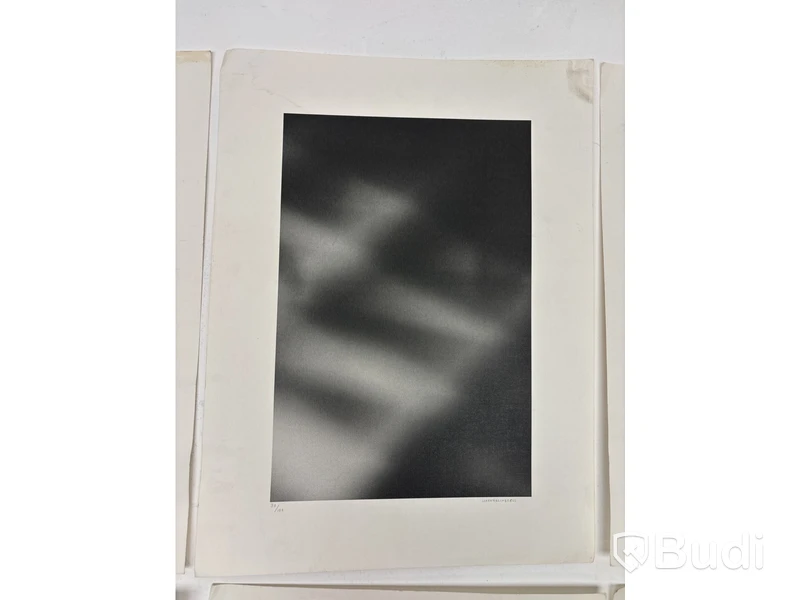Bilder LiffnerLingsell