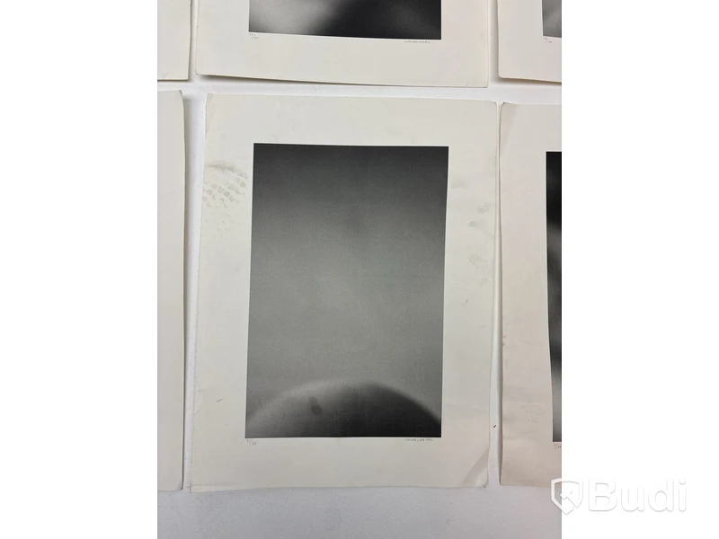Bilder LiffnerLingsell