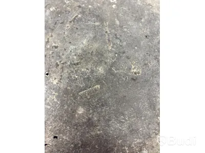 Fat