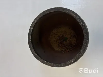 Kruka inkl. tygväxt Wexter