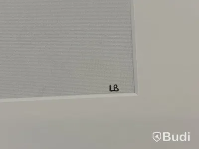 2 st. Tavlor av Lubi Brushstein