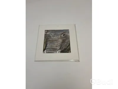 Paintings by Andrea Krövuug