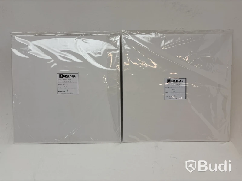2 paintings signed by José “pepe” Franco (2017)