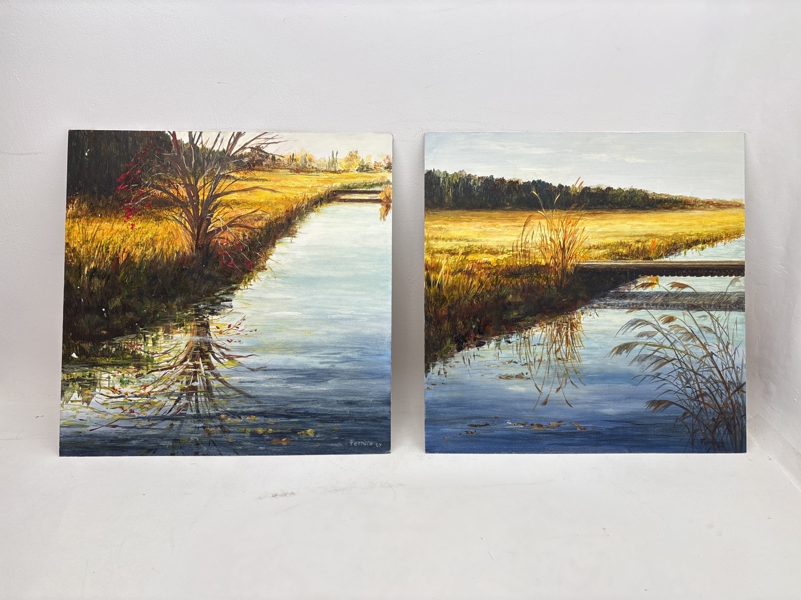 2 st. Tavlor av  Mercedes Ferraro