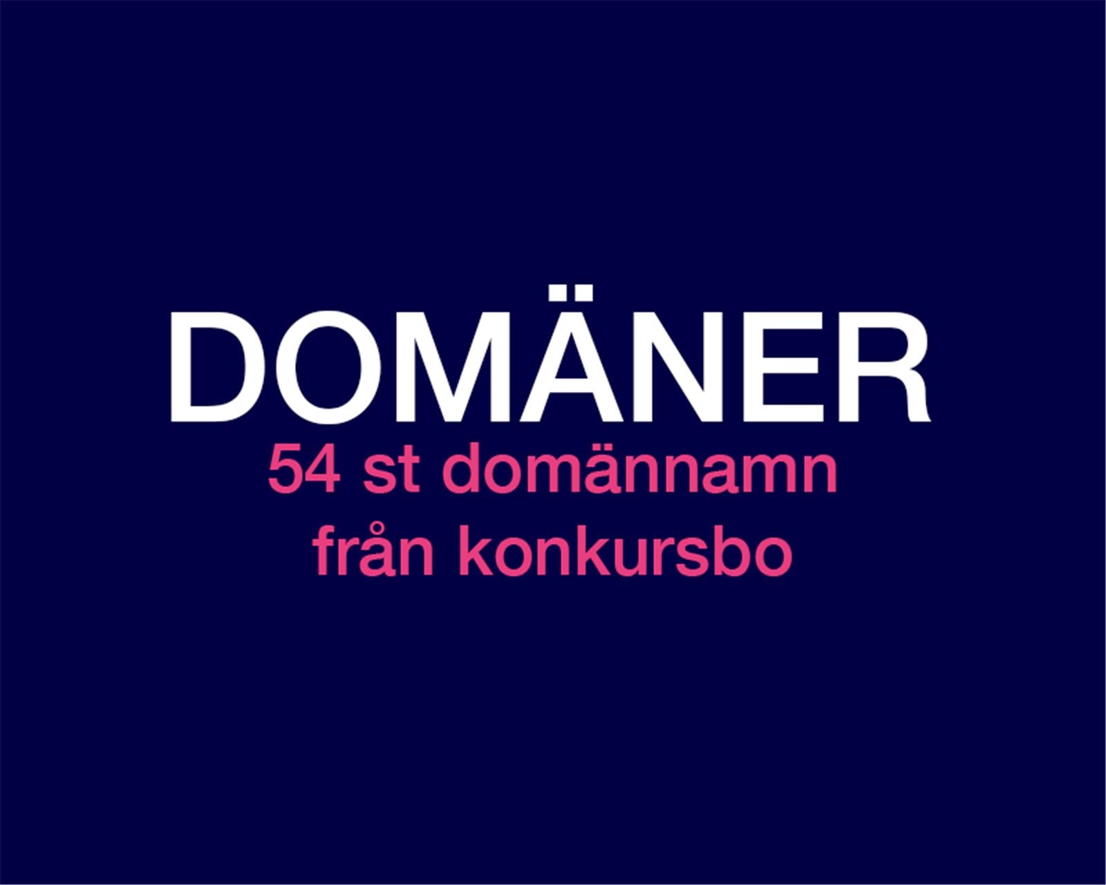 54 st Domännamn från konkursbo- Etablerad domänportfölj från svensk vårdgrupp