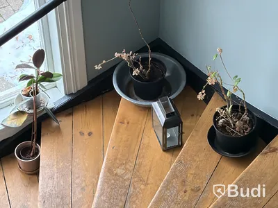 Hotellinventarier, möbler m.m. (Stort parti)