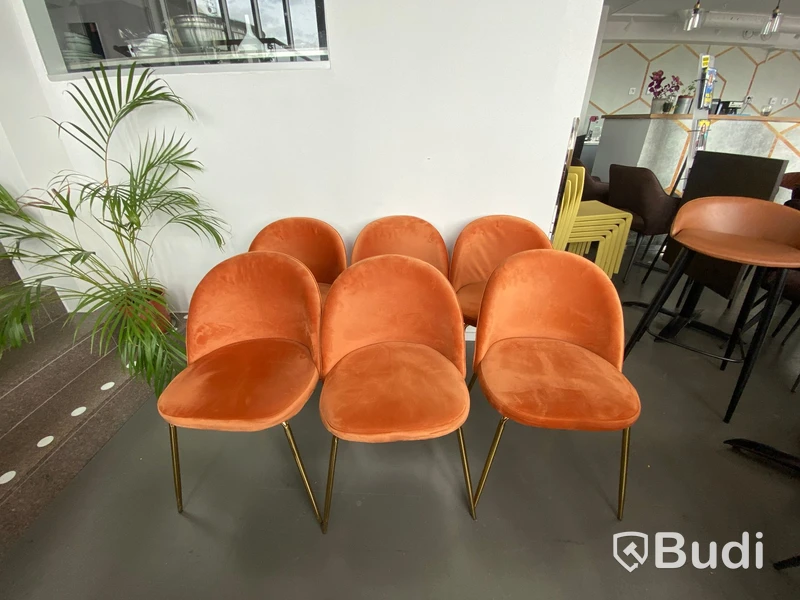 6st stolar med guldkromade ben