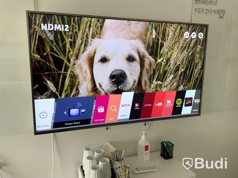 55tums LG TV ink fjärr med smartTV