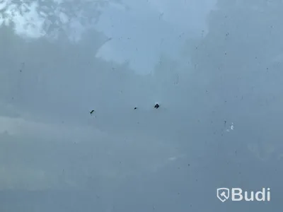 Citroën Nemo | 18222 mil | 2010 | Reparationsobjekt