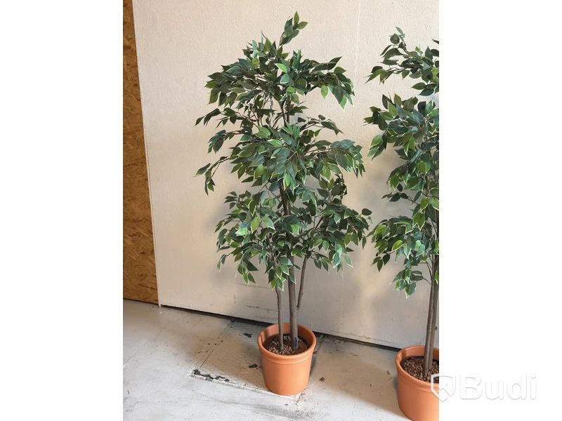 Artificial plants, 6 pcs., approx. 170 cm