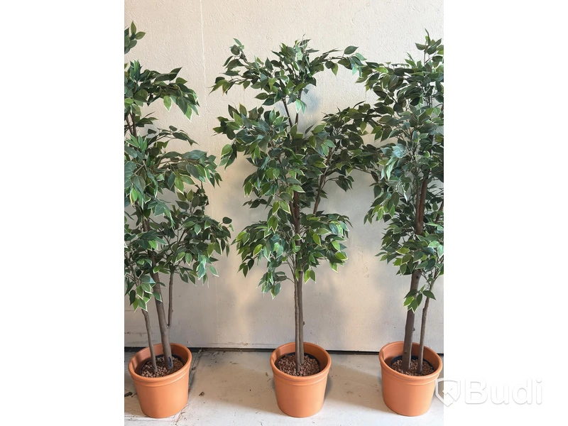 Artificial plants, 6 pcs., approx. 170 cm