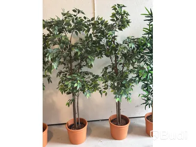 Artificial plants, 6 pcs., approx. 170 cm