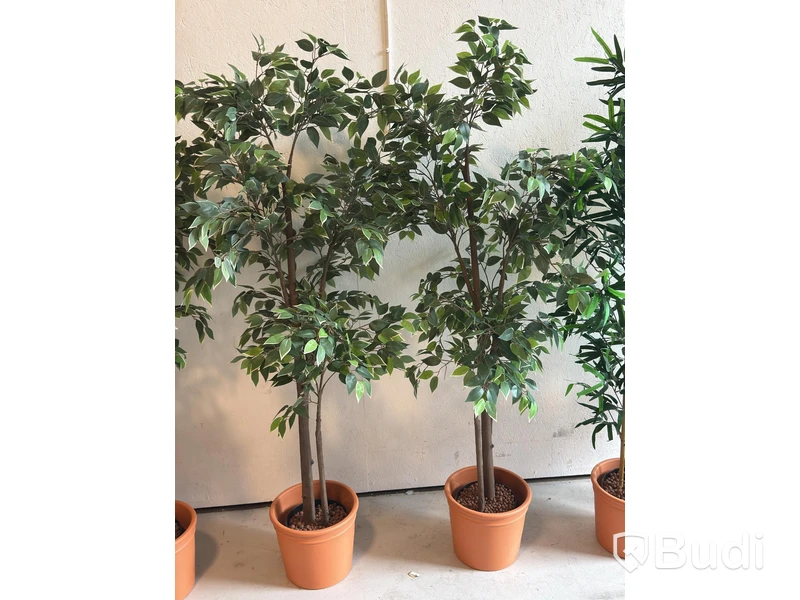 Artificial plants, 6 pcs., approx. 170 cm