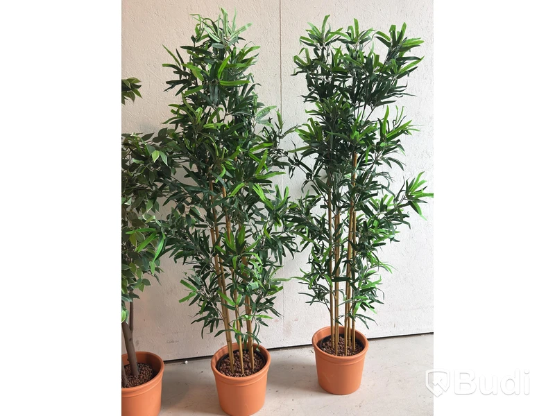 Artificial plants, 6 pcs., approx. 170 cm