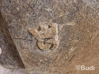 Kabelskopa S45