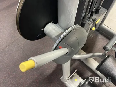Leg Extension maskin