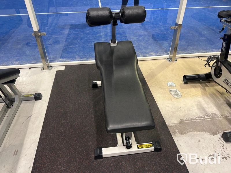 TechnoGym Sit-up bänk