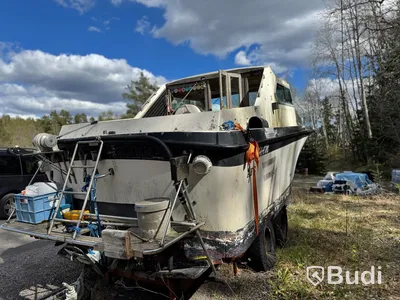 Båt Scalare 800