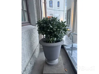 Plastväxt inkl. kruka