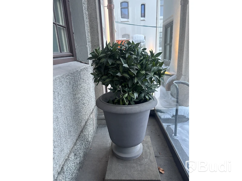 Plastväxt inkl. kruka