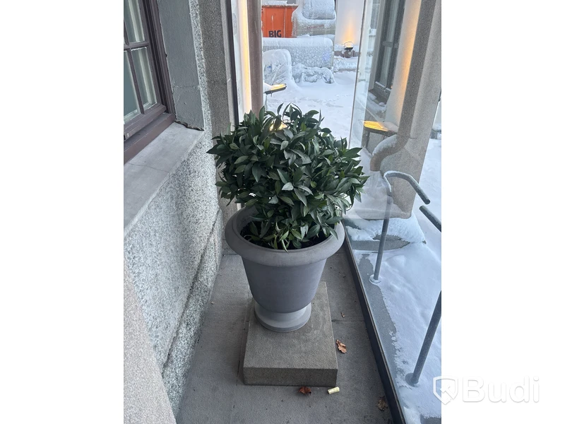 Plastväxt inkl. kruka