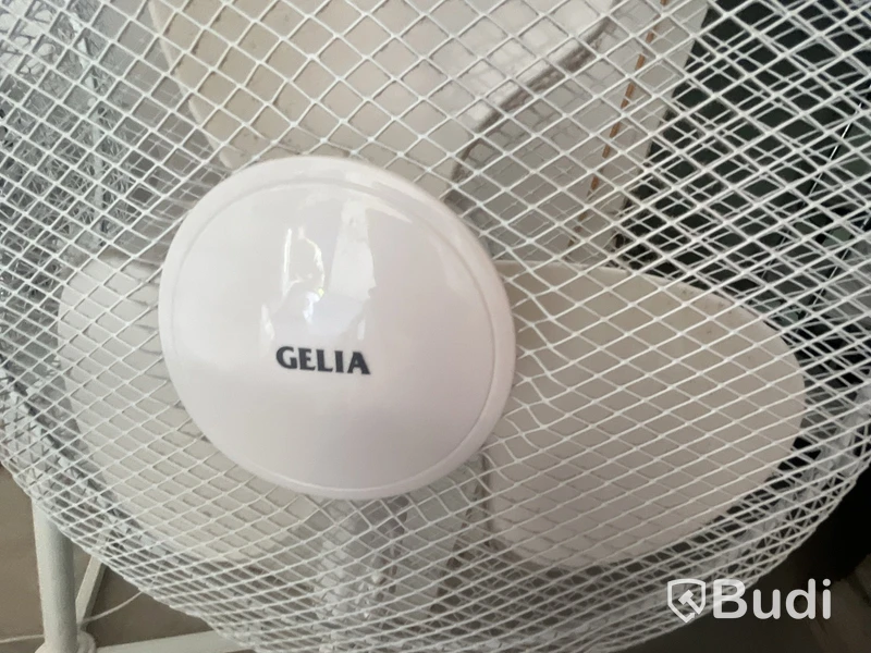 Golvfläktar Gelia, vita, 2 st