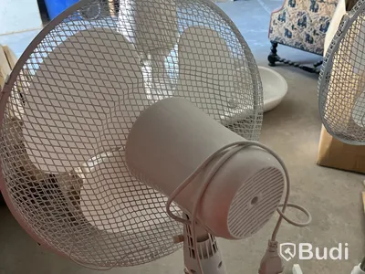 2 electric pedestal fans