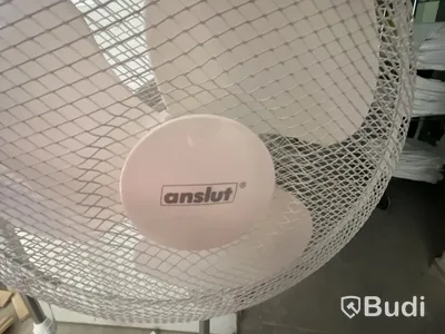 2 electric pedestal fans