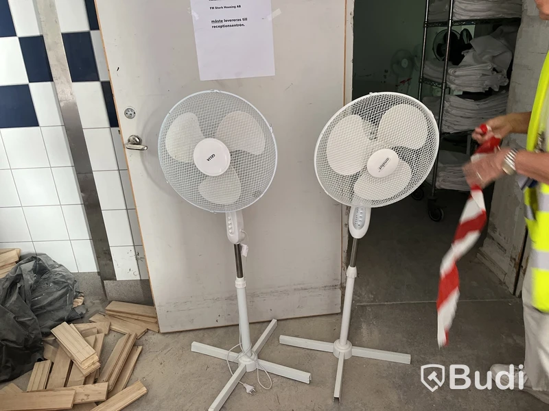 2 electric pedestal fans