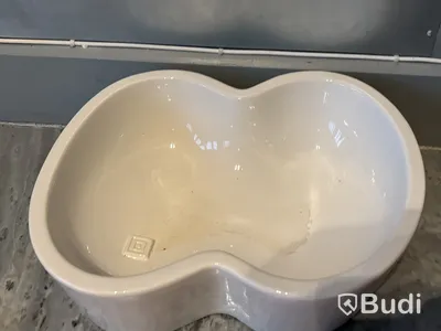 Skål