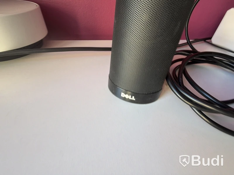 Skärm Lenovo ThinkVision inkl. högtalare DEll