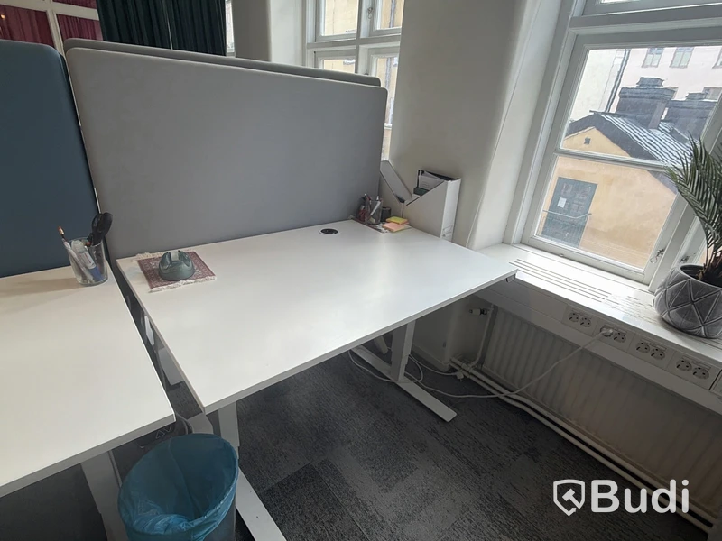 Height-adjustable EFG desk with screen divider