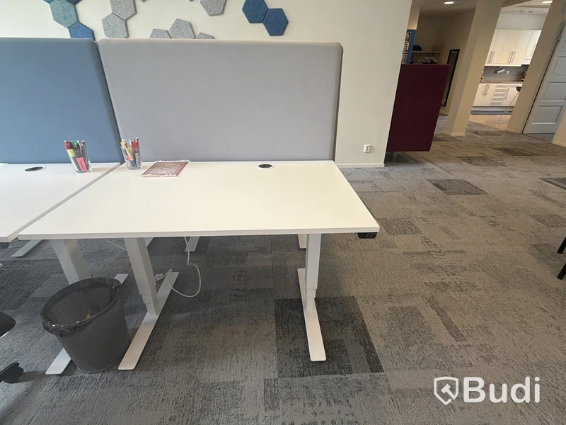 EFG height-adjustable desk with screen