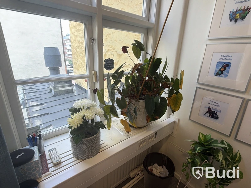 Lot of potted plants