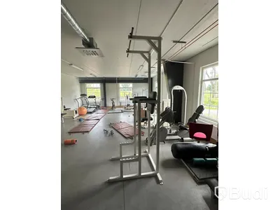 Chins och dippställning