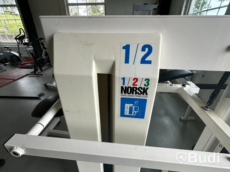 Äldre gymmaskin triceppress