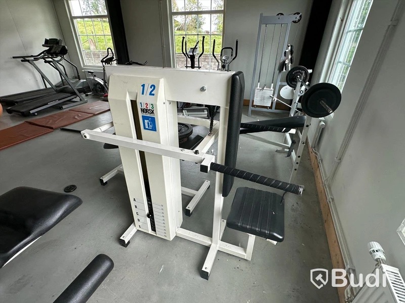 Äldre gymmaskin triceppress