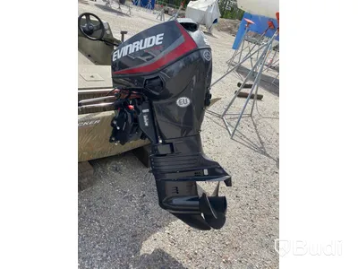 Tracker Grizzly 1754 Motorboat with Evinrude 50
