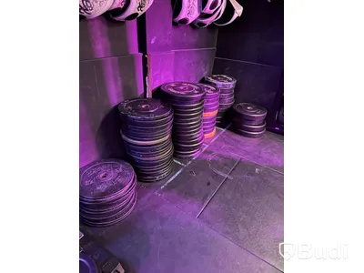 Lot of weight plates