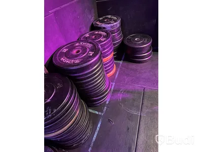 Lot of weight plates