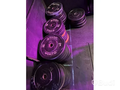 Lot of weight plates