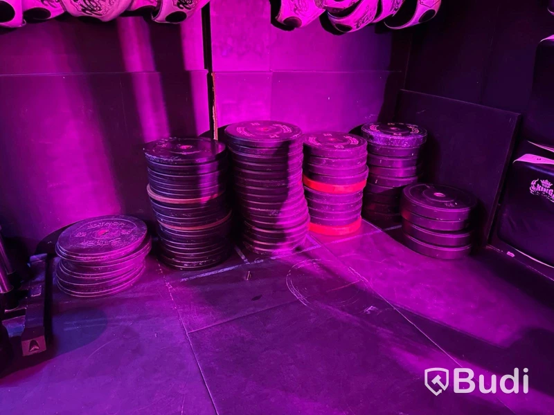 Lot of weight plates